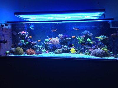 IMG_8117.JPG