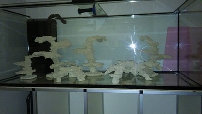20161023_221112.jpg