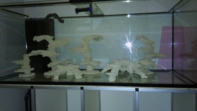 20161023_221115.jpg