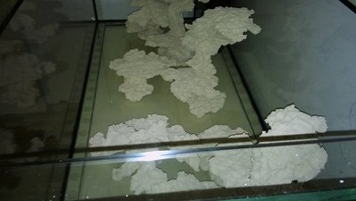 20161023_221142.jpg