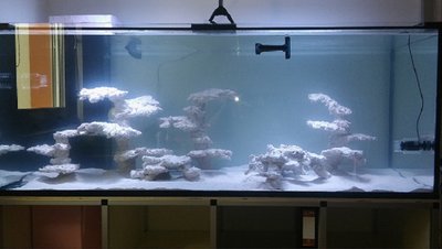 20161028_120901.jpg