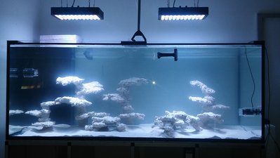 20161028_121003.jpg