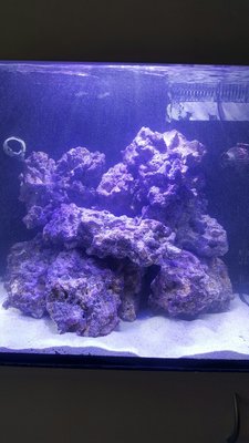 20161028_164621-600x1067.jpg