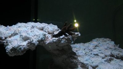 20161101_163517.jpg