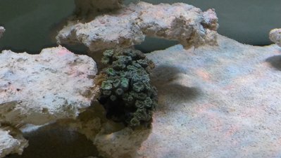 20161101_163529.jpg