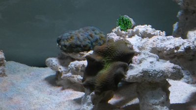 20161101_163537.jpg