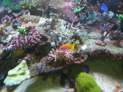 IMG-20161028-WA0009.jpg