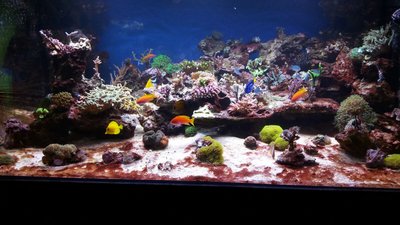 IMG-20161028-WA0015.jpg