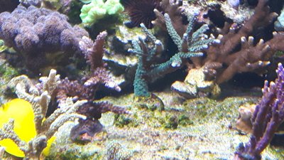 IMG-20161028-WA0011.jpg