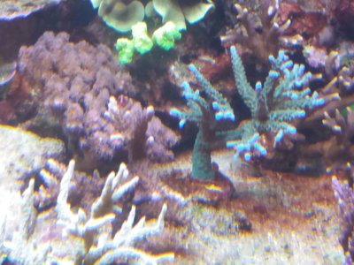 IMG-20161028-WA0012.jpg