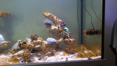 20161113_105405.jpg