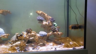 20161113_105408.jpg