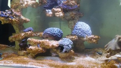 20161113_105424.jpg