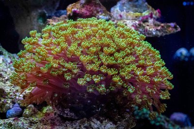 DSC_6854.jpg