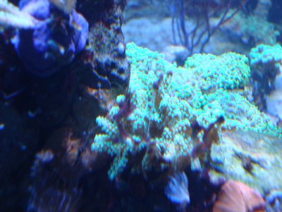 dsc04616_1.jpg