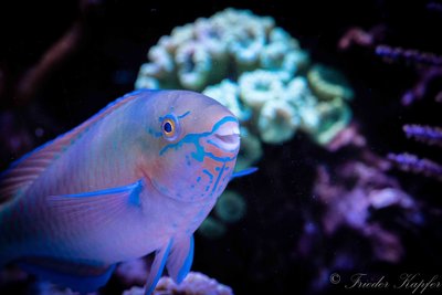 DSC_6966.jpg