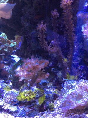 2016-12-28 17.42.31.jpg
