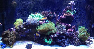 image.jpg (935.27 KiB) 14097 mal betrachtet Stand 12 seotember