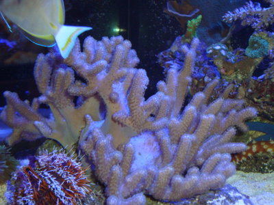 DSC04633.JPG