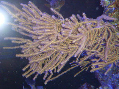 DSC04636.JPG