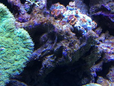 IMG_2791.JPG