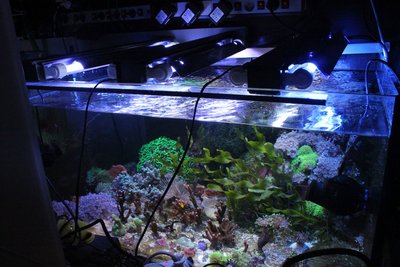 Ablegerbecken im Unterschrank