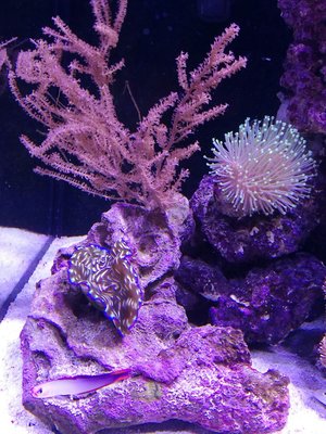 IMG_20170124_134323-1488x1984.jpg