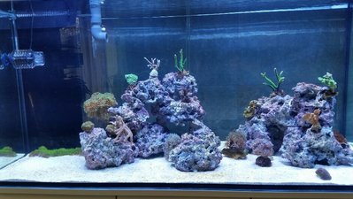 2017-02-02 16.54.03.jpg