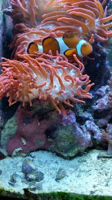 2017-02-02 16.53.28.jpg