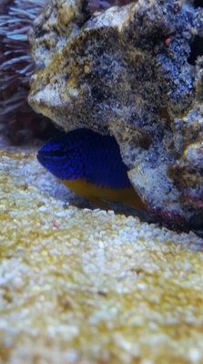 2017-02-04 13.44.05.jpg