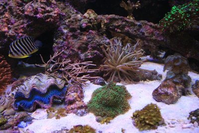 IMG_1967.jpg