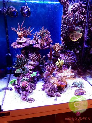 LogoLicious_20170303_122403.jpg