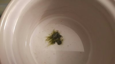 20170306_212858-3456x1944.jpg