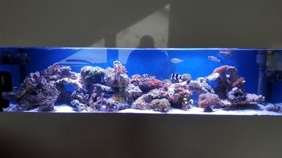 IMG-20170102-WA0018.jpg
