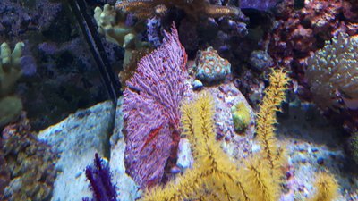 20170311_180525-2304x1296.jpg