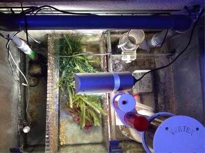 image.jpg (854.51 KiB) 11336 mal betrachtet Kann nur von oben, da es in einem siteboard drinnen is...