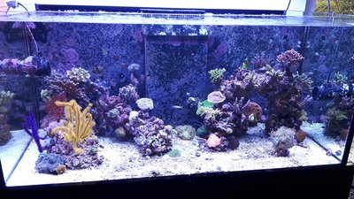 20170319_173116-1843x1037.jpg