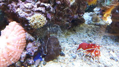 20170326_145339-2304x1296.jpg