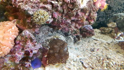 20170328_085431-2304x1296.jpg