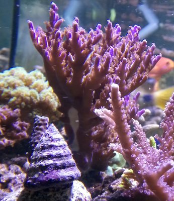 _20170329_191947.JPG