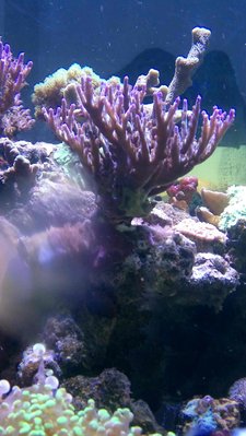 _20170329_192007.JPG