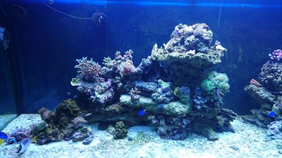 IMG-20170408-WA0003.jpg