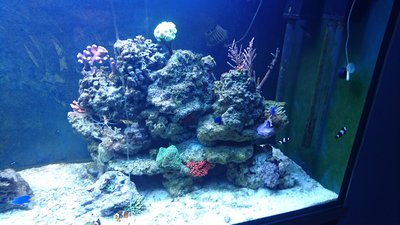 IMG-20170408-WA0005.jpg