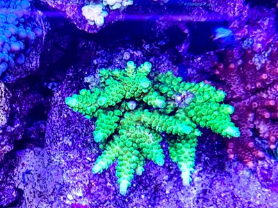 LRM_EXPORT_20170413_210258-1536x1152.jpg