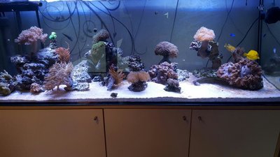 rps20170428_184922.jpg