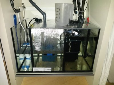 20150928_203256.jpg