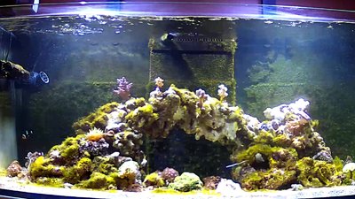 Screenshot_20170605-143948-1.jpg