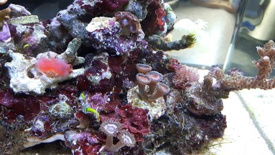 IMG-20170730-WA0019.jpg