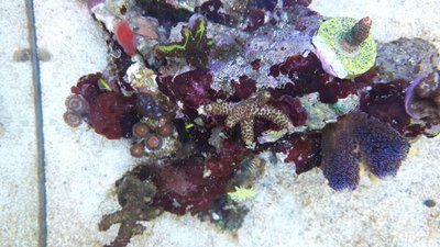 IMG-20170730-WA0021.jpg