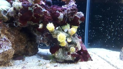 IMG-20170730-WA0032.jpg